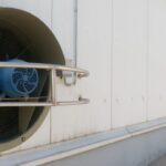 WhatsApp Image 2024-05-30 at 9.12.27 AM