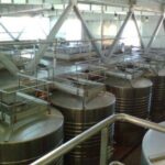 WhatsApp Image 2024-05-30 at 9.13.42 AM