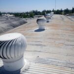 WhatsApp Image 2024-05-30 at 9.13.59 AM