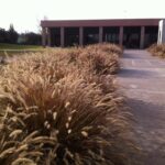 WhatsApp Image 2024-05-30 at 9.14.16 AM