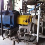 WhatsApp Image 2024-05-30 at 9.14.22 AM